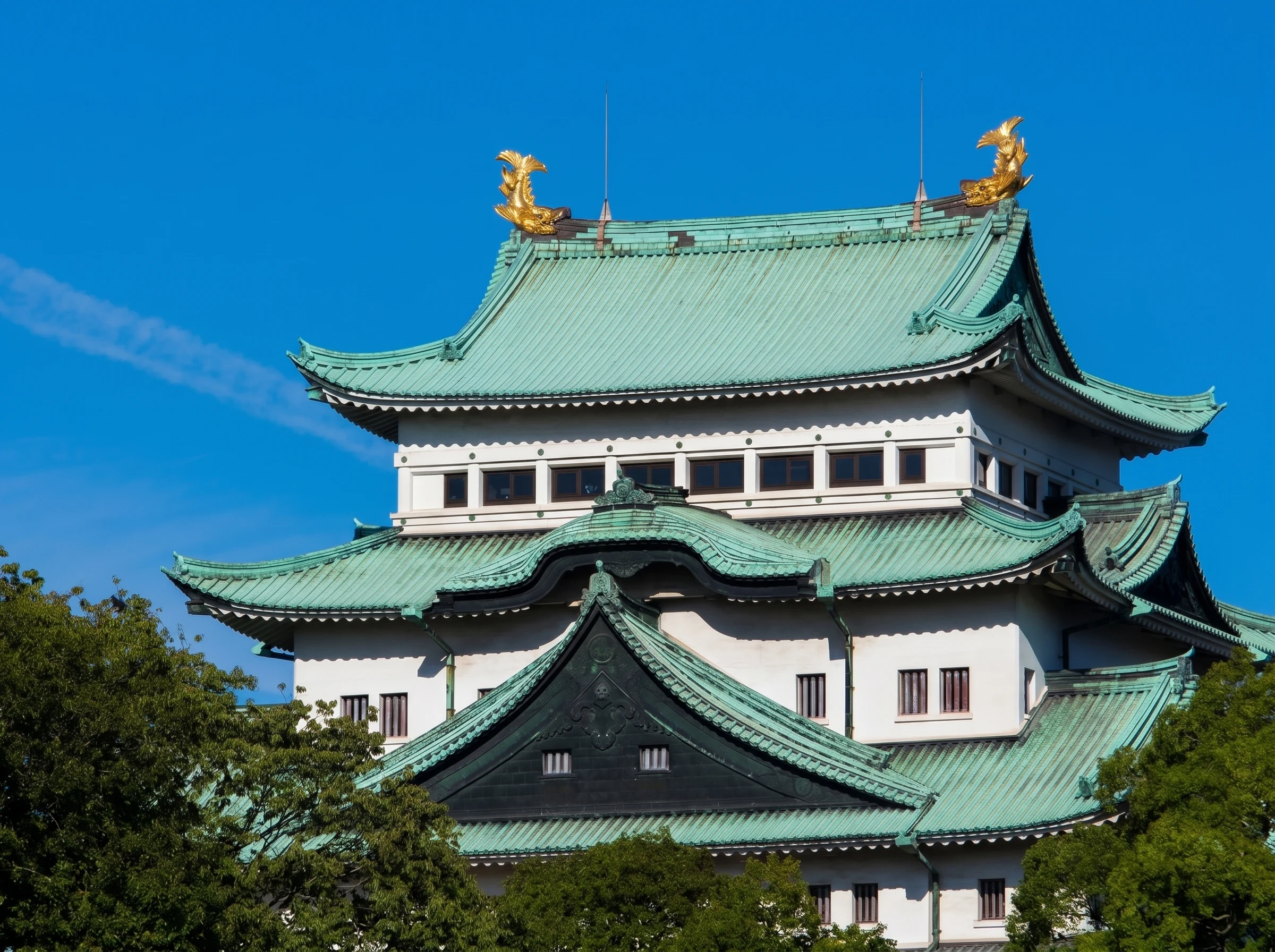 名古屋城・桜