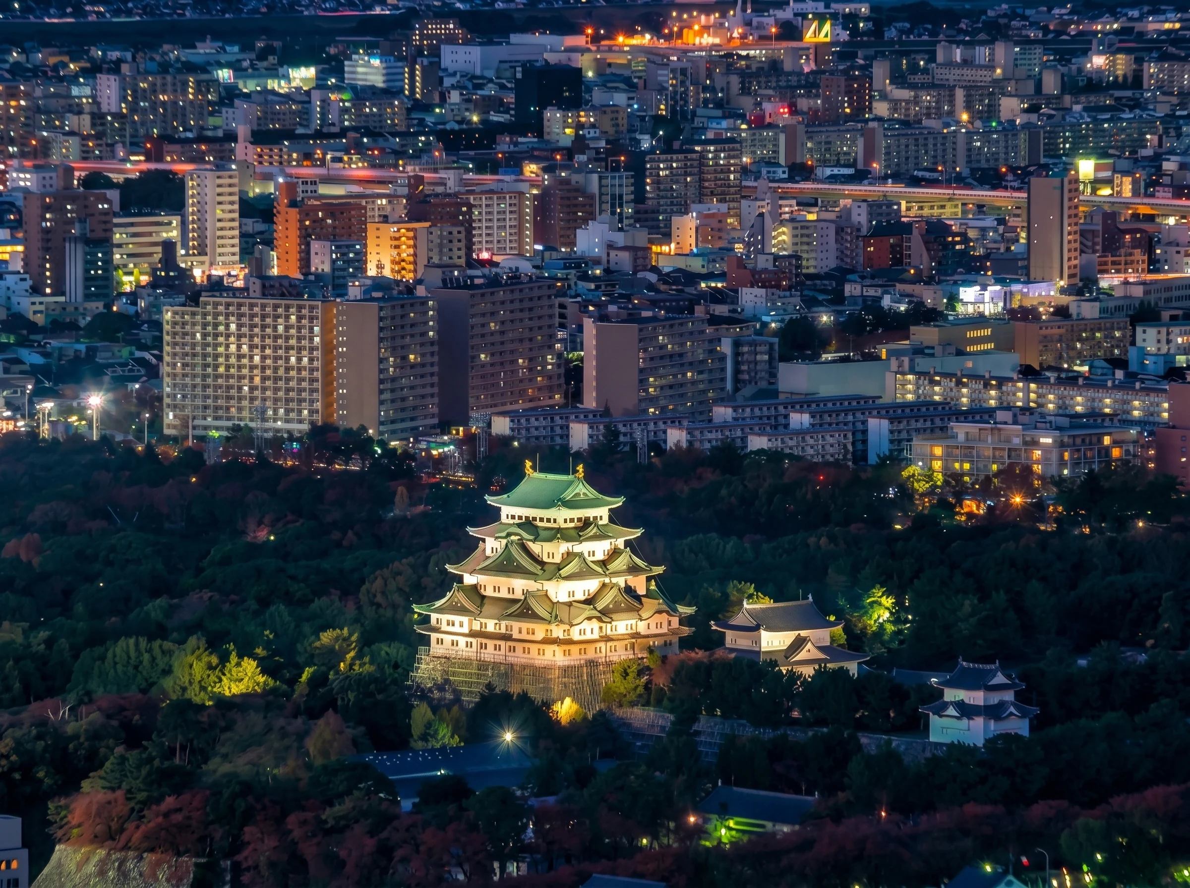 夜の名古屋城 / Nagoya Castle at Night